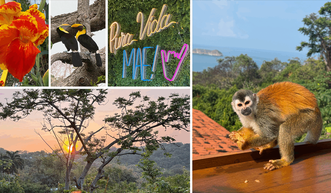 Design Inspired by the Wild Colors of Costa Rica
