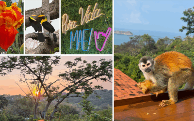 Design Inspired by the Wild Colors of Costa Rica